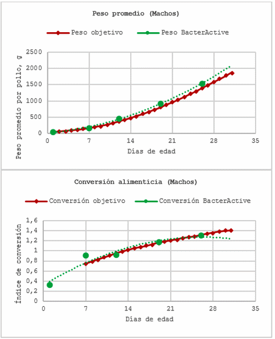 Efecto de BacterActive sobre el rendimiento productivo de pollos de engorde y la presencia de Salmonella spp. - Image 4