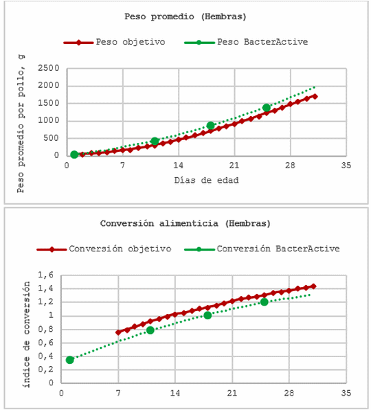 Efecto de BacterActive sobre el rendimiento productivo de pollos de engorde y la presencia de Salmonella spp. - Image 3