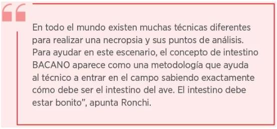 En la búsqueda de una mejor salud intestinal en las aves - Image 3