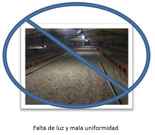 Artículo Nutrimas - Image 3