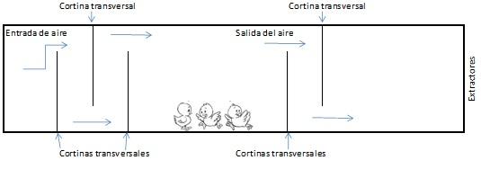 Artículo Nutrimas - Image 6