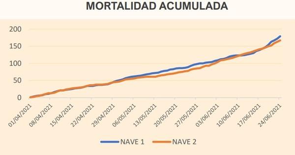 AHORRAR en la dieta de las gallinas ponedoras MANTENIENDO LOS PARÁMETROS PRODUCTIVOS - Image 2