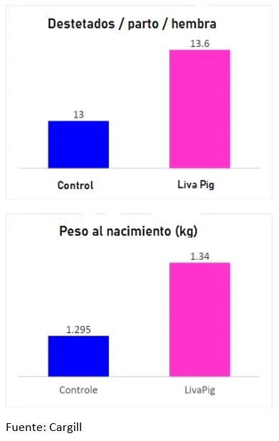 ¿Es posible aumentar la viabilidad de los lechones en el nacimiento a través de la nutrición? - Image 4