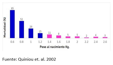 ¿Es posible aumentar la viabilidad de los lechones en el nacimiento a través de la nutrición? - Image 2