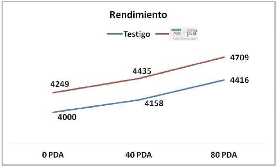 Promotores de Crecimiento y Fertilización en Trigo - Image 7