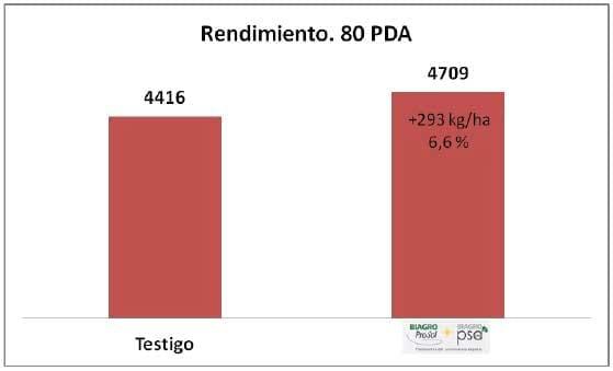 Promotores de Crecimiento y Fertilización en Trigo - Image 5