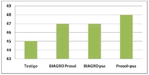 Los promotores de crecimiento producen mejoras en los componentes de rendimiento de trigo y maíz - Image 1