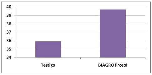 Los promotores de crecimiento producen mejoras en los componentes de rendimiento de trigo y maíz - Image 4