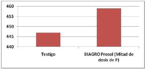 Los promotores de crecimiento producen mejoras en los componentes de rendimiento de trigo y maíz - Image 7