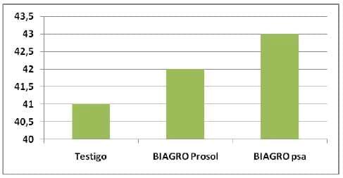 Los promotores de crecimiento producen mejoras en los componentes de rendimiento de trigo y maíz - Image 2