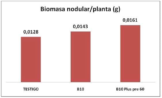 Evaluación de la Tecnología de Preinoculación extendida - Image 2