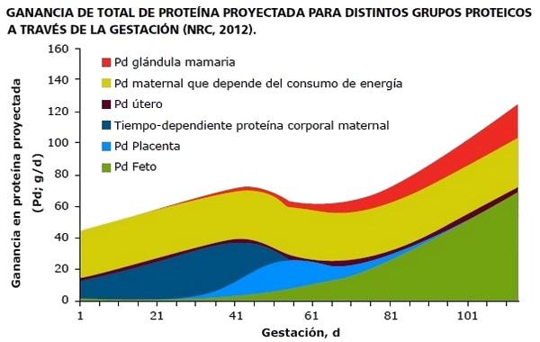 Resultados sostenibles de la Nutrigenómica porcina - Image 1