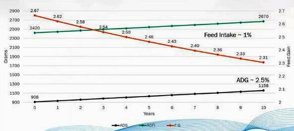 Resultados sostenibles de la Nutrigenómica porcina - Image 4