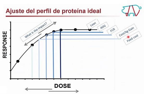 Resultados sostenibles de la Nutrigenómica porcina - Image 3