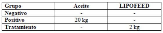 LIPOFEED OPTIMIZANDO INGREDIENTES Y EL METABOLISMO EN LA CERDA LACTANTE - Image 4