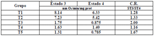 LIPOFEED OPTIMIZANDO INGREDIENTES Y EL METABOLISMO EN LA CERDA LACTANTE - Image 6
