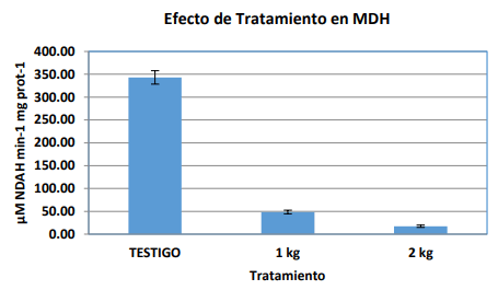 LIPOFEED OPTIMIZANDO INGREDIENTES Y EL METABOLISMO EN LA CERDA LACTANTE - Image 9