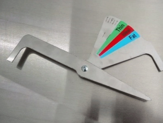 La diferencia es que lo recomiendo usar con un Caliper, para eliminar la subjetividad del sistema visual, y hacerlo más práctico y funcional.