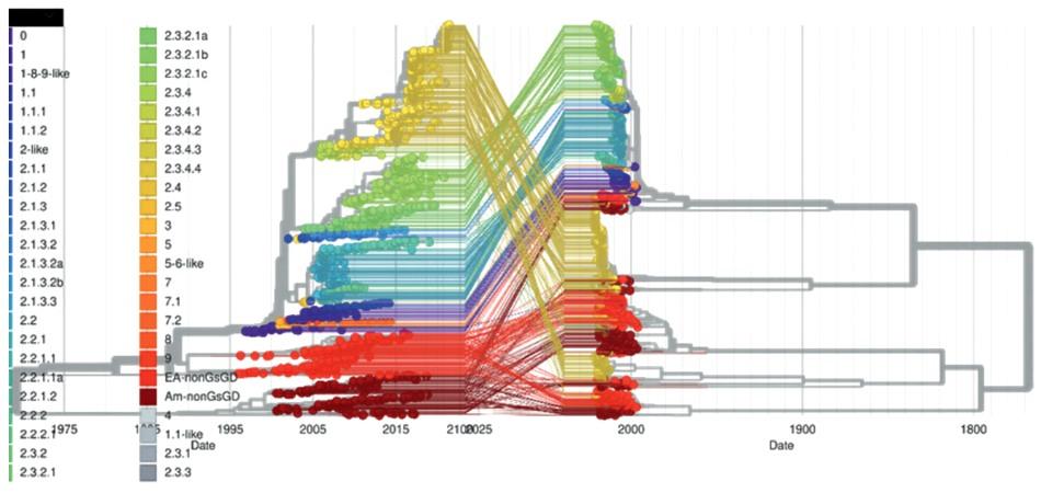 Epidemiología molecular del Virus de la influenza aviar A H5NX con la herramienta Nextstrain - Image 3