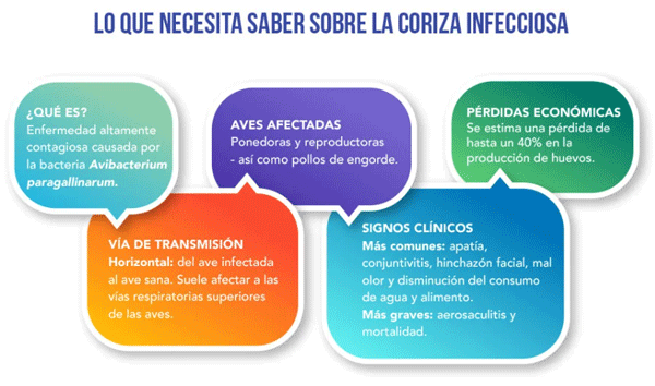 Vacunas autógenas: medida eficaz contra cepas variantes