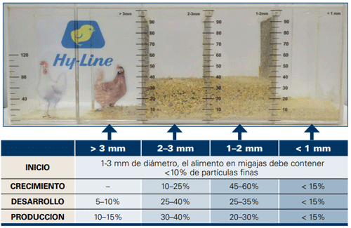 Figura 1. Perfil del tamaño óptimo de las partículas de alimento utilizando un tamizador Hy-Line.