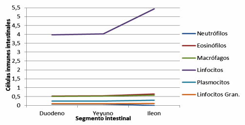 La adición de Enterococcus faecium aumenta la respuesta inmune intestinal en cerdos en crecimiento - Image 13