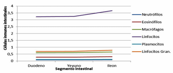 La adición de Enterococcus faecium aumenta la respuesta inmune intestinal en cerdos en crecimiento - Image 14