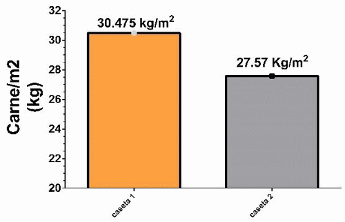 Efecto de un extracto de plantas sobre los parámetros productivos del pollo de engorda - Image 5
