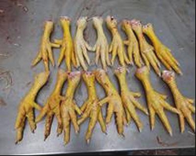 Efecto de un extracto de plantas sobre los parámetros productivos del pollo de engorda - Image 7