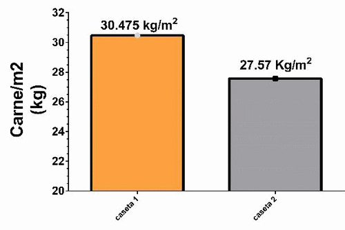 Efecto de un extracto de plantas sobre los parámetros productivos del pollo de engorda - Image 6