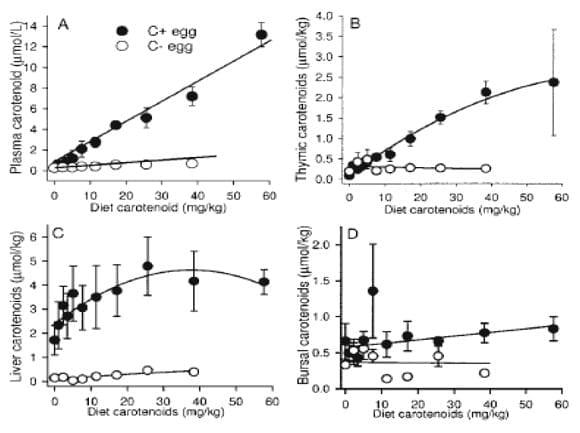 Nutrición de las Reproductoras y sus Efectos en la Incubación y Calidad del Pollo - Image 4