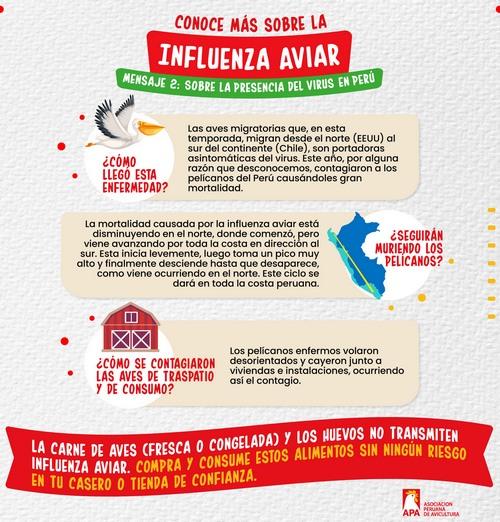 Influenza aviar: Preguntas y respuestas más frecuentes - Image 2