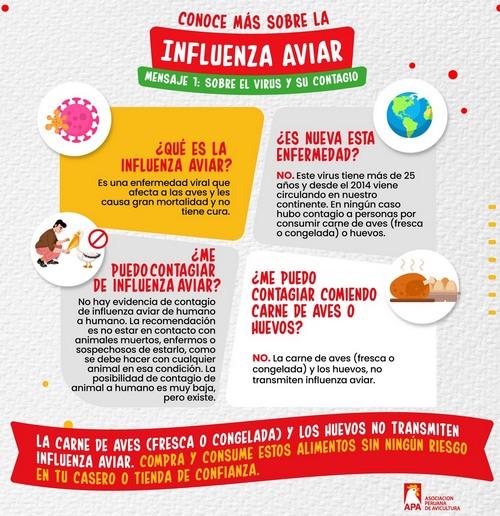 Influenza aviar: Preguntas y respuestas más frecuentes - Image 1
