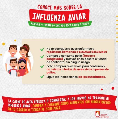 Influenza aviar: Preguntas y respuestas más frecuentes - Image 3