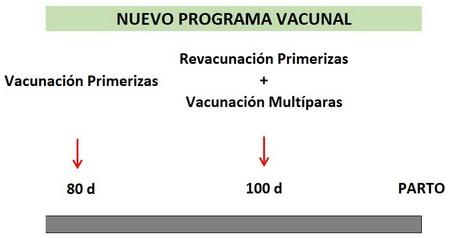Diarreas neonatales en porcino. Control práctico - Image 4