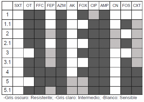 Detección de staphylococcus aureus meticilino resistente en efluentes de granjas porcinas - Image 1