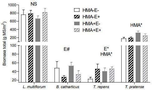 Figura 2. Biomasa total (g/m2), dos cortes de biomasa aérea y biomasa subterránea, de cada especie de la mezcla. Símbolos sobre las barras indican diferencias significativas (* P< 0,05) o tendencia (# P< 0,1).