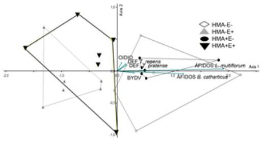 Figura 1. Ordenamiento no métrico multidimensional (NMD) en dos dimensiones. Para cada mesocosmos se incluye el N° de hojas con hongos patógenos en T. pratense (OIDIO), el N° de hojas con daño por orugas defoliadoras en leguminosas (DEF. T. repens y T. pratense), el N° de plantas con virus del enanismo amarillo de la cebada en B. catharticus (BYDV) y el N° de macollos con áfidos en gramíneas (ÁFIDOS L. multiflorum y B. catharticus)