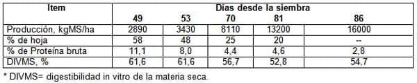 El sorgo como forraje, silaje y grano para una ganadería cada vez más exigente - Image 2
