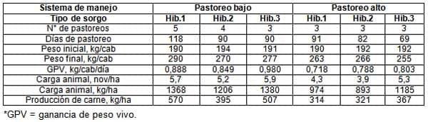El sorgo como forraje, silaje y grano para una ganadería cada vez más exigente - Image 3