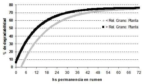 El sorgo como forraje, silaje y grano para una ganadería cada vez más exigente - Image 5