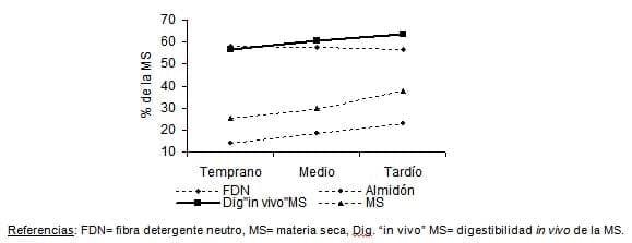 El sorgo como forraje, silaje y grano para una ganadería cada vez más exigente - Image 6