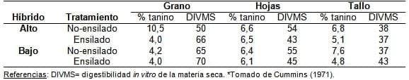 El sorgo como forraje, silaje y grano para una ganadería cada vez más exigente - Image 8