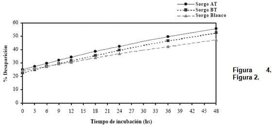 El sorgo como forraje, silaje y grano para una ganadería cada vez más exigente - Image 9