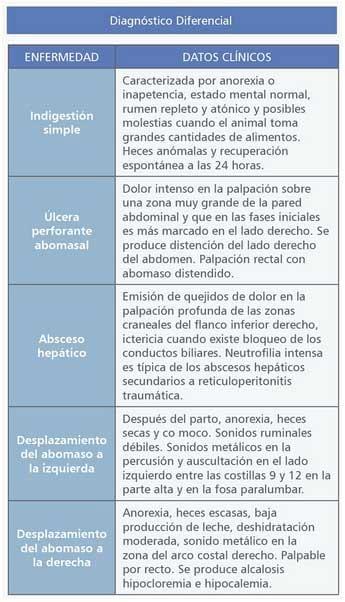 Reticuloperitonitis a cuerpo extraño - Image 7