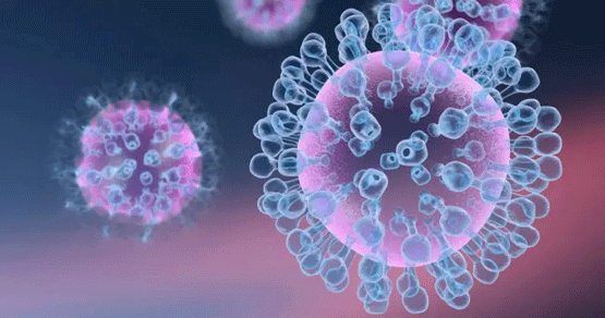 ¡Nunca subestimes la adaptabilidad de un virus!