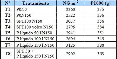 Fertilizantes fosforados en Maíz: Comparación de fuentes, dosis y formas de localización. Campaña 2008/2009 - Image 7