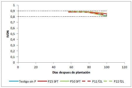 Fertilización Fosfatada del Cultivo de Papa, Resultados Campaña 2011-12 - Image 8