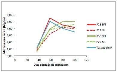 Fertilización Fosfatada del Cultivo de Papa, Resultados Campaña 2011-12 - Image 4