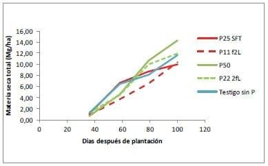 Fertilización Fosfatada del Cultivo de Papa, Resultados Campaña 2011-12 - Image 6